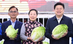 春節蔬果供應充足 花蓮縣加強農藥殘留檢驗保障食品安全